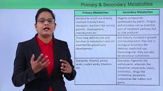 Class10th – Primary and Secondary Metabolites  Enzymes  Tutorials Point [upl. by Brace]