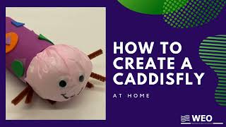 Create a Caddisfly At Home [upl. by Ahsieki516]