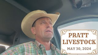 Steve Stratford Market Report for Pratt Livestock  Thursday May 30 2024 [upl. by Nomsed662]