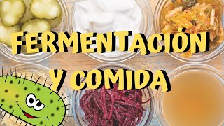 😮😮¿QUÉ ES LA FERMENTACIÓN 😮😮TIPOS DE FERMENTACIÓN Y EJEMPLOS  CHEF MODE MEDIA  GASTRONOMÍA [upl. by Gati799]