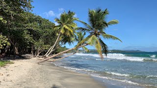 Martinique  Blue wonder of the Caribbean Martynika Karaiby Karibik [upl. by Lovash545]