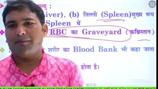 circulatory system part 5  परिसंचरण तन्त्र by Rahul sir sk jha target classes For Railway Group d [upl. by Zurheide]