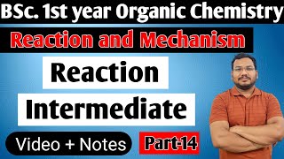 Reaction Intermediate  BSc 1st year organic chemistry  Reaction and Mechanism [upl. by Enidan45]