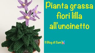 Spiegazione della pianta grassa alluncinetto con i Fiori lilla [upl. by Edee726]