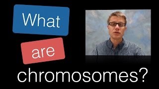 What are Chromosomes [upl. by Eitnom868]