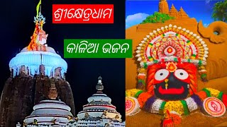 Odia Bhajan Srikhetra Dhama Jagannath Bhajan Kalia Bhajan Melody Song Jatra Taitel LoveSong [upl. by Ehsom]