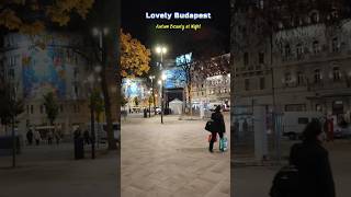 Autumn 🇭🇺 Night budapest hungary shorts short travel explore trendingshorts viralshort yt [upl. by Aisiat]