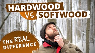 The Actual Difference Between Hardwood and Softwood [upl. by Wini]