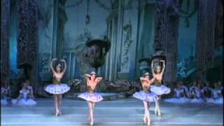 THE KIEV BALLET [upl. by Daune961]