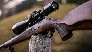 TOP 10 Best 22LR Rifles The Most Accurate 22 Rifles 2023 [upl. by Ellerad]