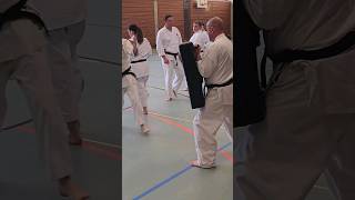 Karate Kampfsport Power Aarau [upl. by Shishko]