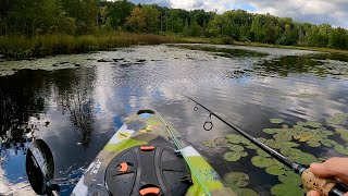 Kayak Bass Fishing with Topwater Lures [upl. by Thibaut694]