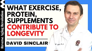 DAVID SINCLAIR What Exercise Protein Supplements Contribute to Longevity  Dr David Sinclair Clips [upl. by Nelac]