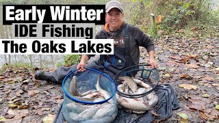 Early Winter IDE fishing  The Oaks Lakes I Alders Lake [upl. by Nekcerb706]