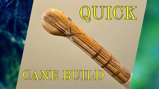 WALKING STICK IDEA A QUICK CANE BUILD [upl. by Kei73]