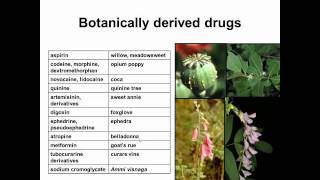 History of Botanical Medicine and Heathcare [upl. by Gnaig]