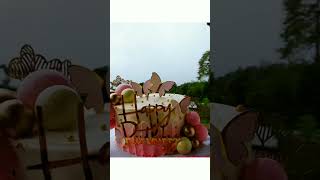 750g cake cake 1M 10M buttericing birthdaycake dilscake nawalapitiya happybirthday [upl. by Hairehcaz28]