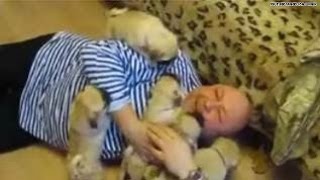 The cutest video Pug pups ATTACK man with love [upl. by Isabelle]