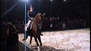 1 Leader Of World Ranking Dressage  GP KWPN stallion Jazz sCocktail [upl. by Eenahc445]