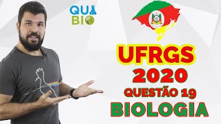 UFRGS 2020  Questão 19  O daltonismo é um tipo de cegueira nos seres humanos referente às cores [upl. by Valera]