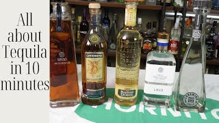 All about Tequila in 10 minutes A beginners guide to gain confidence talking Tequila [upl. by Stormie]