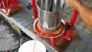 Juicing Apples in TSM Harvest Fruit and Wine Press [upl. by Dobrinsky]