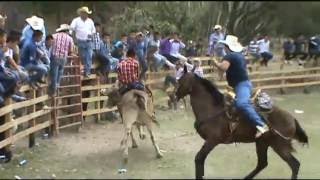 JARIPEO CHALINGO 2016 [upl. by Lucilla127]