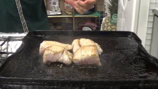 What is Corvina Seabass [upl. by Enelrad753]