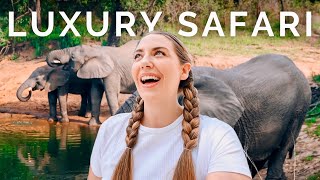 4 WILD days on SAFARI in South Africa 🇿🇦Allinclusive luxury [upl. by Airekal]