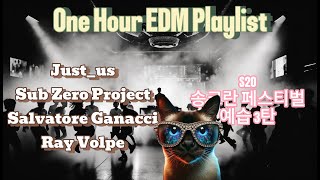 EDM Playlist S2O 송크란 페스티벌 예습 3탄  Justus Sub Zero Project Salvatore Ganacci Ray Volpe Live [upl. by Agni]