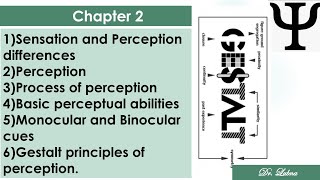 PsychologyCSSPMS SensationampPerceptionBinocularampMonocular cueGestalt PrinciplesAcademic Education [upl. by Kaden590]