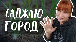 Купили хату в селі Саджаємо город готуємось до зими [upl. by Yliak141]