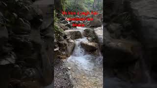 Rishikesh me yaha kon kon gya hai coment me btana shortsfeed yt waterfall river rishikesh [upl. by Radferd]