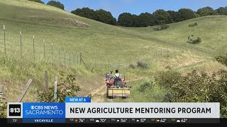 New California agricultural mentoring program aims to seed next generation of farmers [upl. by Noirred]