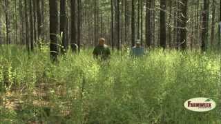 Mississippi Tree Farmer of the Year started at square one  Farmweek [upl. by Carol802]