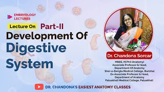 Lecture on development of the digestive system part II [upl. by Piers405]