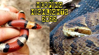 Herping Central Florida  The Best Moments of 2022  PART 1 [upl. by Scholz183]