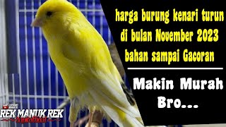 harga burung kenari turun di bulan November 2023  bahan sampai Gacoran [upl. by Yrrag]