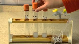 Gas Tests The Tests for Carbon Dioxide Oxygen and Hydrogen [upl. by Sayed]