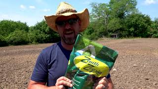 Reseeding a lawn from scratch with Zenith Zoysia Grass [upl. by Gil763]