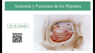 Anatomía y Funciones de los Párpados [upl. by Legna]