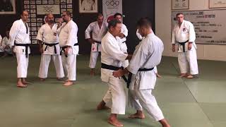 2017 TEKKI SANDAN BUNKAI HIROSHI SHIRAI  Mirko Saffioti [upl. by Seagrave]