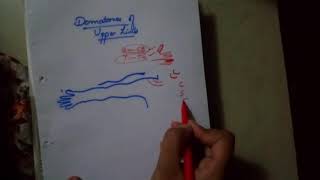 UPPER LIMB dermatomes drawing made FUN and easyanterior side [upl. by Yvaht678]