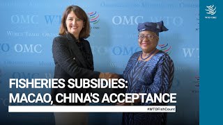 Agreement on Fisheries Subsidies Macao Chinas acceptance [upl. by Aileme]