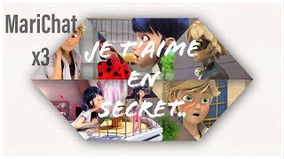 Miraculous AMV  Je taime en secret [upl. by Onitsuaf]