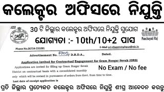 Odisha Collector Office New Recruitment  Govt Jobs in Odisha  Odisha Job alert [upl. by Amlet]