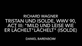 Wagner Tristano “mild und leise wie” [upl. by Rozalin288]