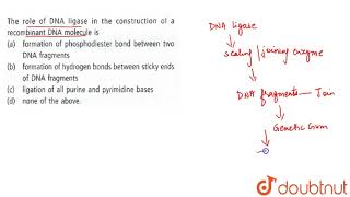 The role of DNA ligase in the construction of a recmobinant DNA molecule is  12  BIOTECHNOLOG [upl. by Kcirdorb150]