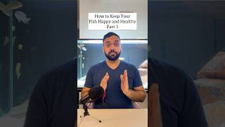 How To Keep Aquarium Fish Happy and Healthy [upl. by Rolph127]