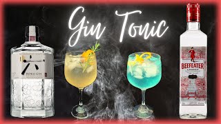 GIN TONIC  Cocteles con ginebra  Mixología [upl. by Ikkin161]